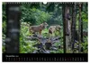 Bayerischer Wald (Wandkalender 2027 DIN A3 quer), CALVENDO Produktbild-Vorschau 7