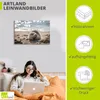 ARTland Leinwandbild Baby-Robbe am Strand von List, Sylt Produktbild-Vorschau 3
