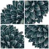 Poster - Poster ohne Rahmen - Agave Königin Victoria - Produktbild-Vorschau 8