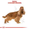 Royal Canin Cocker Adult, Dorosły, Cocker Spaniel, Średnie Podgląd zdjęcia produktu 6