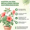 Green Guardia Florfliegenlarven gegen Blattläuse und Produktbild-Vorschau 5