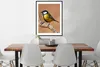MuchoWow® Gerahmtes Poster Vogel - Kohlmeise - Zweige 60x80 Produktbild-Vorschau 3