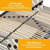 Lattenrost Flex 42 Motor, Kopfteil und Fußteil elektrisch Produktbild-Vorschau 6