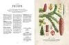 Die Natur-Apotheke Produktbild-Vorschau 6