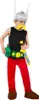Kostium Asterix deluxe dla dzieci Podgląd zdjęcia produktu 9