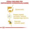 Royal Canin Maltese 24 Adult 1,5kg Produktbild-Vorschau 7