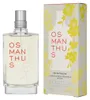 L'Occitane Osmanthus, Frauen, 75 ml, Spray, 1 Stück(e) Produktbild-Vorschau 5