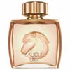 A bottle of Lalique pour Homme perfume with a horse relief on the front. Anteprima dell’immagine prodotto