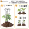 Pflanzenhalter Tomatensäule Blumenhalter Rankhilfe Produktbild-Vorschau 5