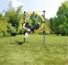 AniOne Hundesportgerät Agility-Hürde, mit Ring und Produktbild-Vorschau 2