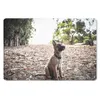 MuchoWow® Mauspad Mousepad Malinois-Schäferhund-Welpe Produktbild-Vorschau 1