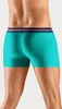 H.I.S. Boxer Boxershorts für Herren 5 -teilig grün, lime, Produktbild-Vorschau 4