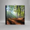Bilder auf glas - Wald Blätter Sonne - 70x70cm - Glasbilder Produktbild-Vorschau 3