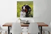 MuchoWow® Poster Ein Berner Sennenhund zwischen gelben Produktbild-Vorschau 2
