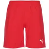 Puma Teamrise Shorts Herren - Rot Produktbild-Vorschau 7