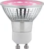 Paulmann Grow Green Edition Filament 230V LED reflektor Náhľad obrázku produktu 2