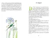 Limitierte Sonderausgabe: Stolz und Vorurteil Produktbild-Vorschau 12