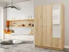 A modern bedroom or dressing room with a wardrobe and built-in cabinets. Náhľad obrázku produktu