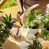 Eule mit Schal Blumentopf Die Welt ist schön Produktbild-Vorschau 4