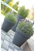 Klassischer runder Blumentopf DBC46 | Anthrazit Produktbild-Vorschau 13