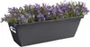 elho barcelona Balkonkasten 40cm - anthrazit Produktbild-Vorschau 5
