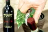 RADOLEO® Kellnermesser GMELIA - Korkenzieher, Weinöffner | Produktbild-Vorschau 6