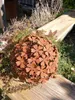 A rusty metal sphere decorated with flower shapes sits on a wooden plank in a garden setting. Anteprima dell’immagine prodotto