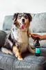 Animology Hundespray Knot Sure De-Tangle Dog Spray 250 ml Produktbild-Vorschau 3