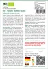 SAFLAX - BIO - Tomate - Golden Queen - Solanum lycopersicum Produktbild-Vorschau 3
