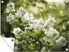 MuchoWow® Produktbild-Vorschau 1