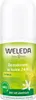 A roll-on deodorant bottle with branding and product information. Anteprima dell’immagine prodotto
