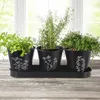 Orion vaso per erbe aromatiche Vaso per piante aromatiche Anteprima dell’immagine prodotto 3