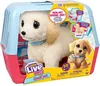 Interaktiver Plüschwelpe LITTLE LIVE PETS Mon Chien Produktbild-Vorschau 1