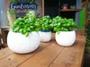 Splofy Bowl Topf Produktbild-Vorschau 8