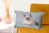 MuchoWow® Zierkissen Sofakissen Wohnzimmer Dekokissen 50x30 Produktbild-Vorschau 6