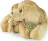 Rappa Pluszowy Labrador 27 cm ze szczeniakiem ECO-FRIENDLY Podgląd zdjęcia produktu 2