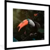 MuchoWow® MuchoWow® Gerahmtes Poster Tukan - Schmetterling Produktbild-Vorschau 1