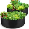 Zwei runde schwarze Stoff-Pflanzbeutel gefüllt mit verschiedenen gedeihenden Pflanzen, darunter Erdbeeren, Salat, Kohl und Tomaten Náhľad obrázku produktu