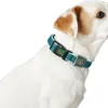 Hunter Halsband Hilo Vario Basic rot, Größe: M / Breite: Produktbild-Vorschau 7