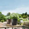 Lechuza Samozavlažovací květináč Classico Color, průměr 28 Náhled obrázku produktu 20