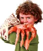 Folkmanis Hermit Crab, Fingerpuppe, Tier, 1 Stück(e) Produktbild-Vorschau 3