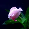 Aquarium künstliche Fische,Aquarium Simulation Produktbild-Vorschau 4