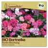 Samenliebe  Bartnelke Samen | Schnittblume - winterhart & Produktbild-Vorschau 1