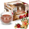 A product shot of a "Winter Cookies" scented candle in a glass jar, with its packaging and some Christmas decorations. Voir les images du produit