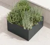 Herstera Garden Cube Low L flacher Outdoor Pflanzkasten Produktbild-Vorschau 8