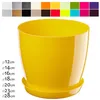 A yellow plastic plant pot with a matching saucer, shown against a white background. A row of colored squares is visible at the top of the image, suggesting available color options. Dimensions are listed on the left side. Podgląd zdjęcia produktu