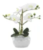 Kunst-Pflanze Orchidee ovaler Topf weiß hochglanz und weiße Produktbild-Vorschau 2