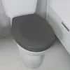 A close-up view of a toilet seat with a dark gray lid and a white toilet base, set against a light gray wall and white tiled floor. Anteprima dell’immagine prodotto