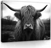 Leinwandbilder Schottisches Hochlandrind Kuh Tiere 100x70 Produktbild-Vorschau 1