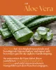 VALENTIN Kosmetik Handseife Orange & Sandelholz mit Aloe Produktbild-Vorschau 4